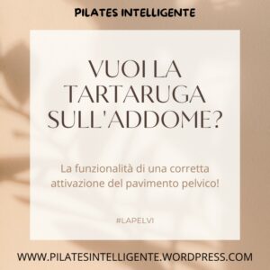 IL PAVIMENTO PELVICO IL PAVIMENTO PELVICO