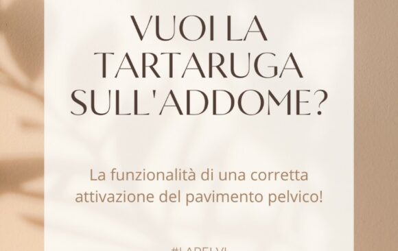 IL PAVIMENTO PELVICO