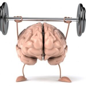 NEUROPLASTICITA NEUROPLASTICITÀ