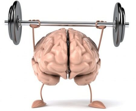 NEUROPLASTICITÀ
