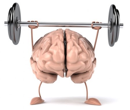 NEUROPLASTICITA NEUROPLASTICITÀ